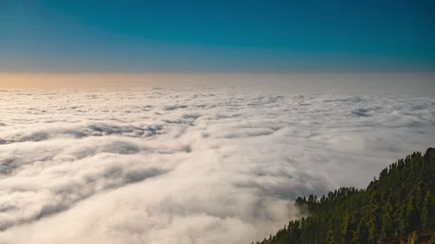 Golden Sunset Sea of Clouds Over Pine Forest Tenerife 4K Timelapse Stock Footage 333417092
