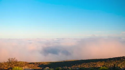 Golden Sunset Sea of Clouds Over Volcanic Ridge Tenerife 4K Timelapse Stock Footage 335018100
