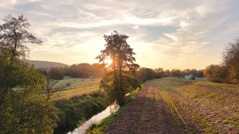 Golden sunset shining through a lone tree beside a winding stream Видео 347380427