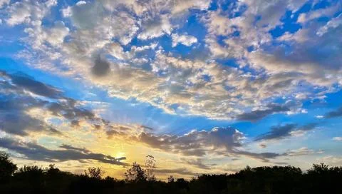 Golden Sunset Sky with Dramatic Clouds Over Tree Line Foto stock