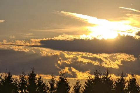 Golden sunset sky with dramatic clouds over silhouetted pine trees Stock Photos