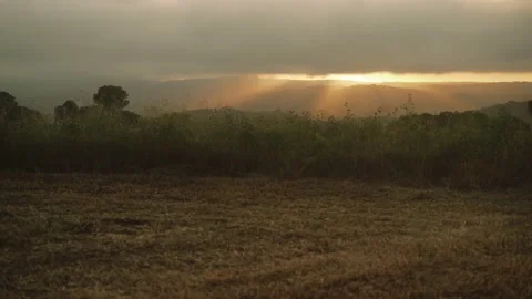 Golden sunset sun breaks through the clouds over a beautiful field. Spring field Stock Footage 130441201
