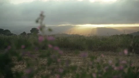 Golden sunset sun breaks through the clouds over a beautiful field. Spring field Stock Footage 130441416