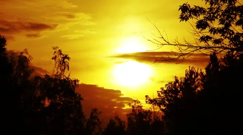 Golden sunset through the clouds in the treetops. Stock Footage 39959570