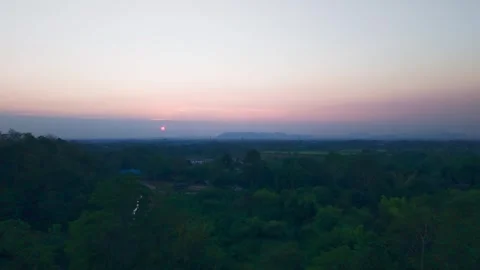 Golden Sunset Through the Trees Stock Footage 301634361