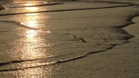 Golden sunset tide beach waves sunlight reflection on sea water video Stock Footage 284442085