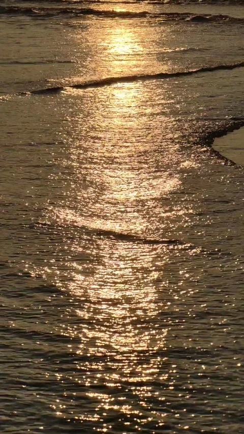 Golden sunset tide beach waves sunlight reflection on sea water video 库存影片 284442092