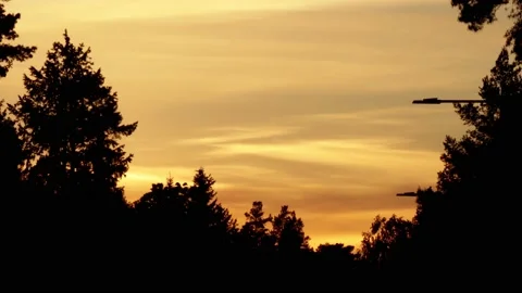 Golden Sunset Time Lapse 4k Stock Footage 155029784