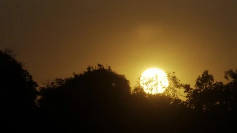 Golden sunset time-lapse behind silhouette tree line. Stock Footage 340207440