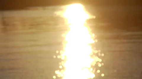 Golden sunset water reflection Stock Footage 241351442