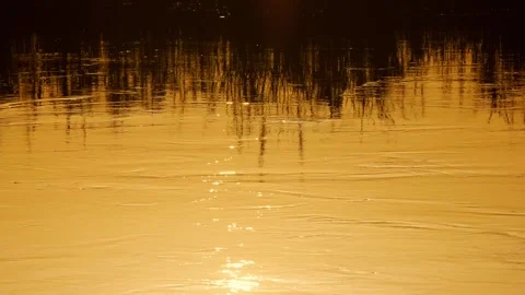 Golden sunset - water surface 動画素材 258995503