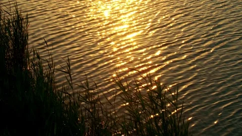 Golden sunset waves at the water's edge at sunset Stock Footage 258086777