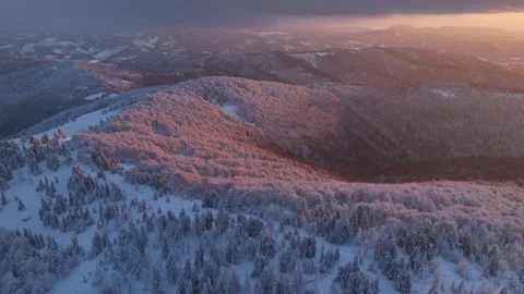 Golden Sunset Winter Forest Drone Flight Stock Footage 336278099