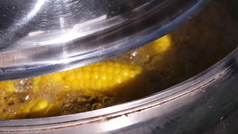 Golden sweet corn on the cob boiling in a large stainless steel pot Stock Footage 344690581