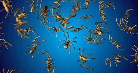 Golden tarantula falling slow motion Video stock 88704113