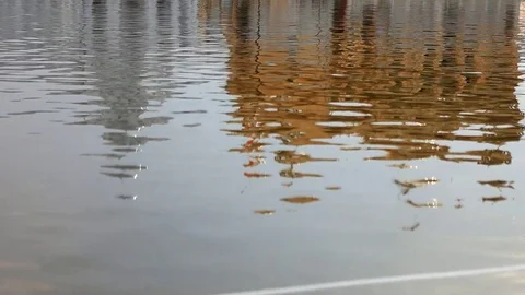 Golden Temple Closeup reflection in the water Tilt up shot Stock Footage 73145231