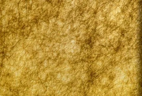 Golden texture. Foto stock
