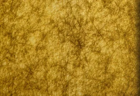 Golden texture. Stock Photos