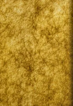 Golden texture. Stock Photos