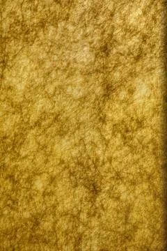 Golden texture. Stock Photos