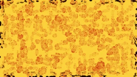 Golden textured background with subtle movement during daylight Stock Footage 340944794