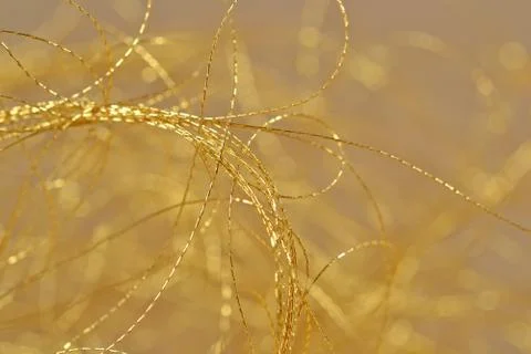 Golden threads close-us selective focus Stock Photos