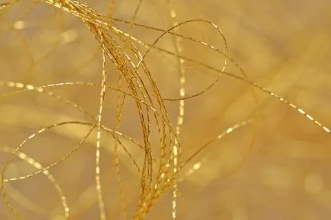 Golden threads close-us selective focus Stock Photos