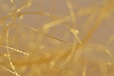 Golden threads close-us selective focus Stock Photos