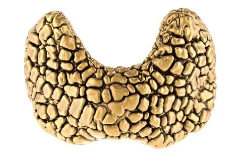 Golden Thyroid Gland, 3D rendering Stock Illustration