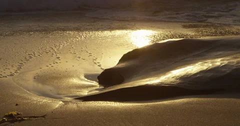 Golden Tide Stock Footage 68561773