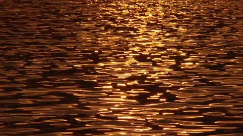 Golden tiny water ripples Stock Footage 34384450