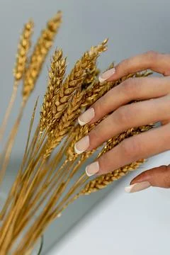Golden Touch Foto stock