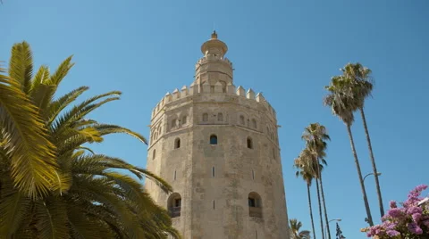 The golden tower Video stock 40504081