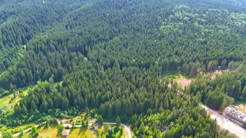 Golden Trails Stock Footage 306903658