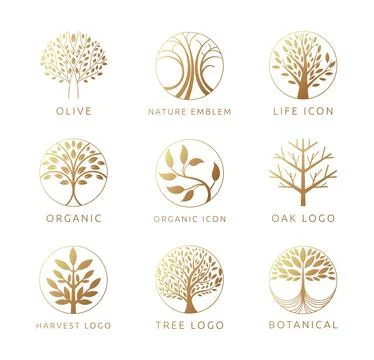 Golden tree logo set. Circular emblems with stylized branches and leaves, ide Stock Illustration