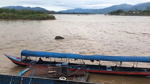 The Golden Triangle Stock Footage 92433542