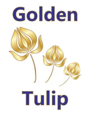 Golden tulip Stock Illustration