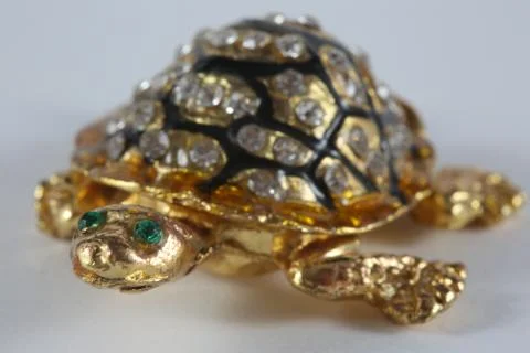 Golden turtle Stock Photos