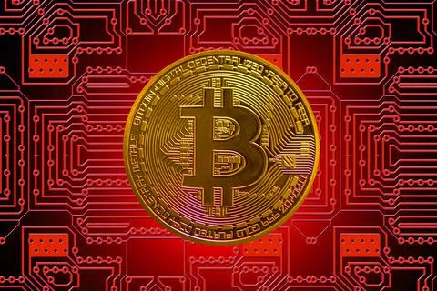 Golden valueable single bitcoin from crypto currency with a red board in the  Stock Illustration
