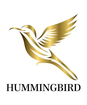 Golden Vector illustration on a white background of flying hummingbird. Illustrazione stock