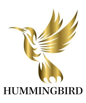 Golden Vector illustration on a white background of flying hummingbird. Stock Illustration