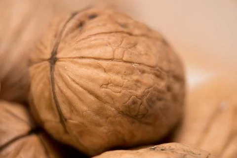 Golden Walnuts: A Close-Up Study of Nature's Intricate Design Stock Photos