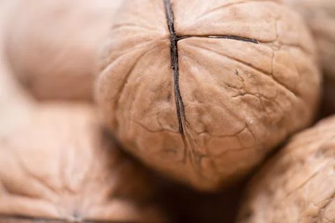 Golden Walnuts: A Close-Up Study of Nature's Intricate Design Stock Photos