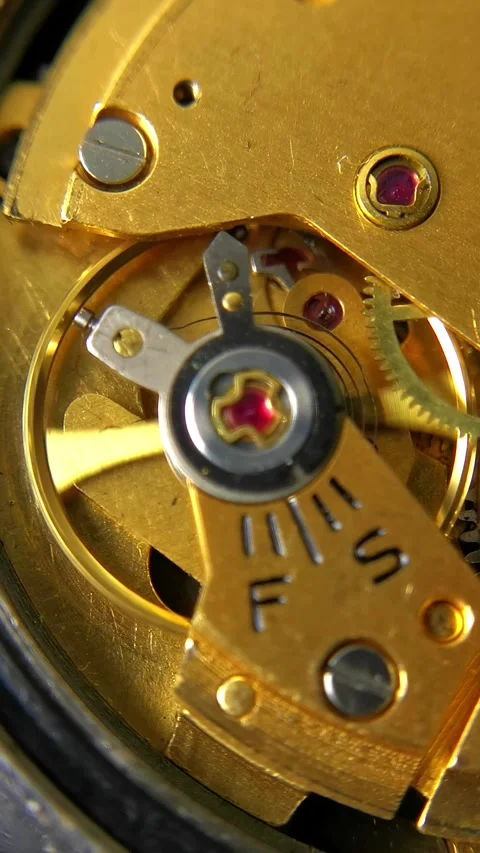Golden Watch Caliber 스톡 동영상 339522704