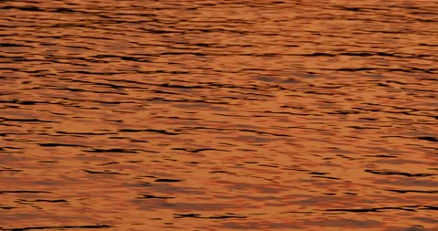 Golden water background Stock Footage 120792799