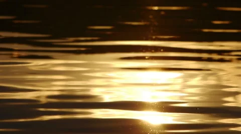 Golden water Stock Footage 7747810