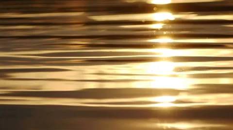 Golden water Stock Footage 7747830