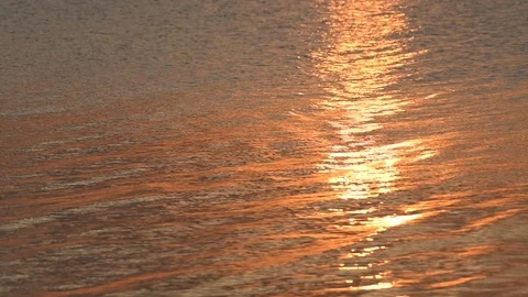 The golden water reflected the light from the setting sun. Video stock 124675622