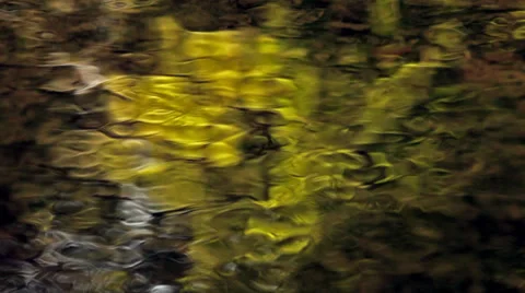 Golden water reflections Stock Footage 37893516