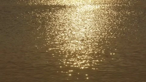 The golden water surface of the setting sun is sparkling Vídeo Stock 258893366